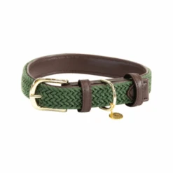 Kentucky Dogwear Nylon Hundehalsband -Tierfreunde Günstiges Geschäft kentucky dogwear nylon hondenhalsband 219178 0500 none