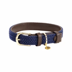 Kentucky Dogwear Nylon Hundehalsband -Tierfreunde Günstiges Geschäft kentucky dogwear nylon hondenhalsband 219180 0500 none
