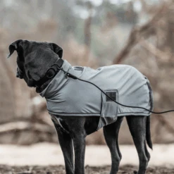 Kentucky Dogwear Soft Rubber Hundehalsband -Tierfreunde Günstiges Geschäft kentucky dogwear soft rubber hondenhalsband 219265 0500 none