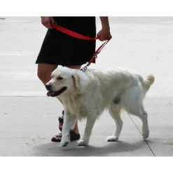 KONG Adjustable Leash -Tierfreunde Günstiges Geschäft kong adjustable leash zwart 176941 0500 none