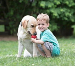 KONG Classic 15 KONG Classic -Tierfreunde Günstiges Geschäft kong classic 98642 0500 none