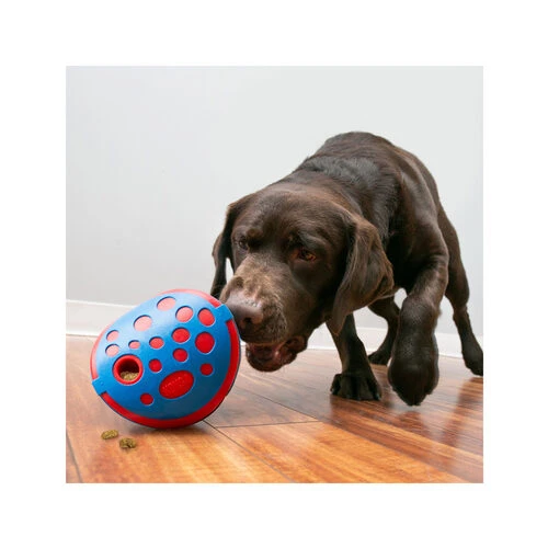 Kong Rewards Wally 2 Kong Rewards Wally – Bild 2