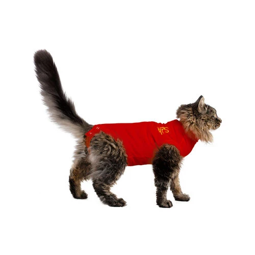 Medical Pet Shirt Katze 2 Medical Pet Shirt Katze – Bild 2