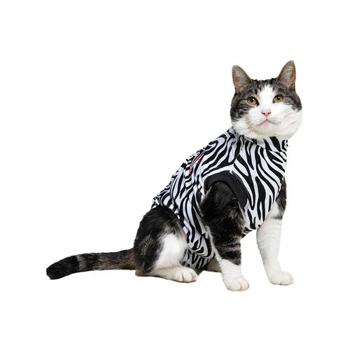 Medical Pet Shirt Katze Zebra-Muster 1 Medical Pet Shirt Katze Zebra-Muster