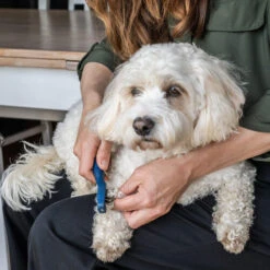 Mikki Doodle De-Matter -Tierfreunde Günstiges Geschäft mikki doodle de matter 194483 0500 none