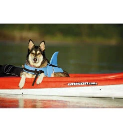 Nobby Hundeschwimmweste Sharki -Tierfreunde Günstiges Geschäft nobby sharki hondenzwemvest 221666 0500 none