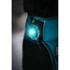 Orbiloc Dog Dual Safety Light 18 Orbiloc Dog Dual Safety Light -Tierfreunde Günstiges Geschäft orbiloc led veiligheidslamp 188103 0500 none