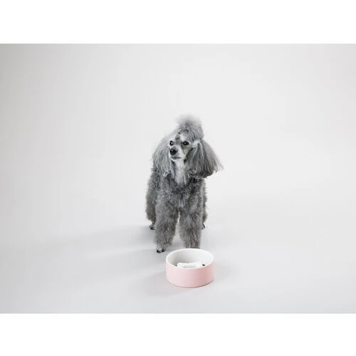 PAIKKA Slow Feed Bowl 3 PAIKKA Slow Feed Bowl – Bild 3