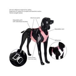 PAIKKA Visibility Harness -Tierfreunde Günstiges Geschäft paikka visibility harness 217810 0500 none