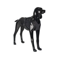 PAIKKA Visibility Harness -Tierfreunde Günstiges Geschäft paikka visibility harness 217815 0500 none