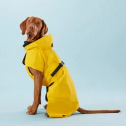 PAIKKA Visibility Raincoat Lite Yellow 8 PAIKKA Visibility Raincoat Lite Yellow -Tierfreunde Günstiges Geschäft paikka visibility raincoat lite yellow 217726 0500 none