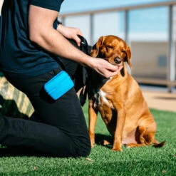 Popware Pooch Pouch Treatbag -Tierfreunde Günstiges Geschäft popware pooch pouch treatbag 164698 0500 none