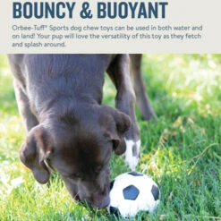 Planet Dog Orbee-Tuff Soccer Ball 11 Planet Dog Orbee-Tuff Soccer Ball -Tierfreunde Günstiges Geschäft prod 14590 203615 0500 none