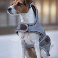 Kentucky Hundemantel Reflective & Waterrepellent 7 Kentucky Hundemantel Reflective & Waterrepellent -Tierfreunde Günstiges Geschäft prod 15746 219013 0500 none