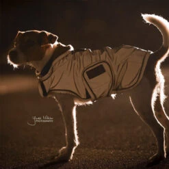 Kentucky Hundemantel Reflective & Waterrepellent 6 Kentucky Hundemantel Reflective & Waterrepellent -Tierfreunde Günstiges Geschäft prod 15746 219015 0500 none