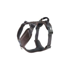 DOG Copenhagen Comfort Walk Pro Geschirr -Tierfreunde Günstiges Geschäft prod 15938 220292 0500 none
