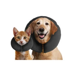 Tierfreunde Günstiges Geschäft 30 ZenPet Pro Collar