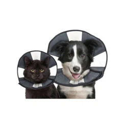 Tierfreunde Günstiges Geschäft 28 ZenPet Zen Collar