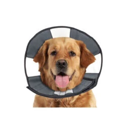 ZenPet Zen Collar -Tierfreunde Günstiges Geschäft prod 5332 89025 0500 none