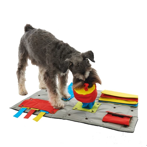 Buster Activity Mat 1 Buster Activity Mat