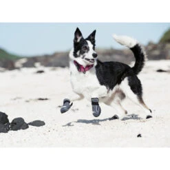 Hurtta Hundeschuhe Outback 5 Hurtta Hundeschuhe Outback -Tierfreunde Günstiges Geschäft product hurtta outback boots none 4 1478786124 80266