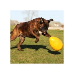 Jolly Egg -Tierfreunde Günstiges Geschäft product jolly egg none 4 1496839893 86965