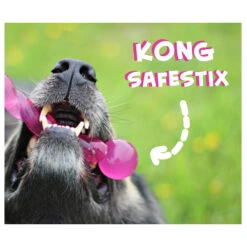 KONG Safestix -Tierfreunde Günstiges Geschäft product kong safestix none 4 1458633926 66969