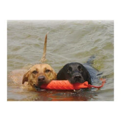 KONG Training Dummy 11 KONG Training Dummy -Tierfreunde Günstiges Geschäft product kong training dummy none 4 1469627104 71971