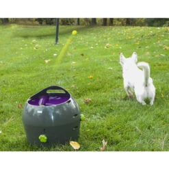 PetSafe Automatischer Ballwerfer -Tierfreunde Günstiges Geschäft product petsafe ball launcher none 4 1472637635 77137