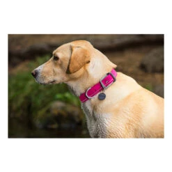 Ruffwear Headwater Collar -Tierfreunde Günstiges Geschäft product ruffwear headwater collar none 4 1487775433 83755