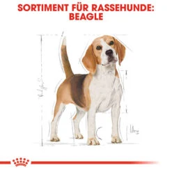 Royal Canin Beagle Adult - Hundefutter -Tierfreunde Günstiges Geschäft royal canin beagle adult hondenvoer 137293 0500 none