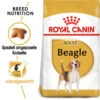 Royal Canin Beagle Adult - Hundefutter