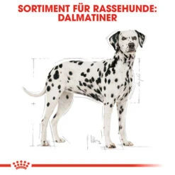 Royal Canin Dalmatian Adult - Hundefutter -Tierfreunde Günstiges Geschäft royal canin dalmatian adult hondenvoer 138499 0500 none