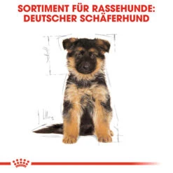 Royal Canin German Shepherd Puppy - Hundefutter -Tierfreunde Günstiges Geschäft royal canin german shepherd puppy hondenvoer 138838 0500 none