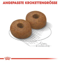 Royal Canin Maxi Ageing 8+ - Hundefutter -Tierfreunde Günstiges Geschäft royal canin maxi ageing 8 hondenvoer 128714 0500 none