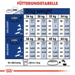 Royal Canin Maxi Ageing 8+ - Hundefutter -Tierfreunde Günstiges Geschäft royal canin maxi ageing 8 hondenvoer 128723 0500 none