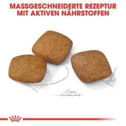 Royal Canin Maxi Relax Care - Hundefutter -Tierfreunde Günstiges Geschäft royal canin maxi relax care hondenvoer 131321 0500 none