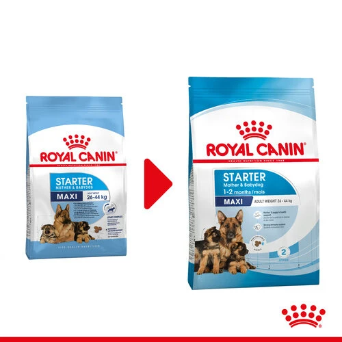 Royal Canin Maxi Starter Mother & Babydog - Hundefutter 1 Royal Canin Maxi Starter Mother & Babydog - Hundefutter