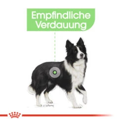 Royal Canin Medium Digestive Care - Hundefutter -Tierfreunde Günstiges Geschäft royal canin medium digestive care hondenvoer 132788 0500 none