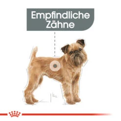 Royal Canin Mini Dental Care - Hundefutter -Tierfreunde Günstiges Geschäft royal canin mini dental care hondenvoer 130985 0500 none
