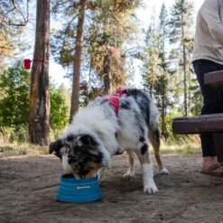 Ruffwear Bivy Bowl -Tierfreunde Günstiges Geschäft ruffwear bivy bowl 204698 0500 none
