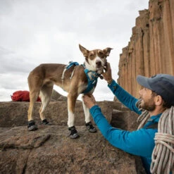 Ruffwear Grip Trex Boots 19 Ruffwear Grip Trex Boots -Tierfreunde Günstiges Geschäft ruffwear grip trex boots 204740 0500 none