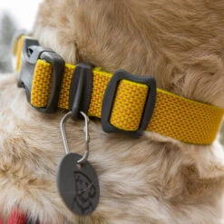 Ruffwear Hi & Light Halsband -Tierfreunde Günstiges Geschäft ruffwear hi light collar 194258 0500 none
