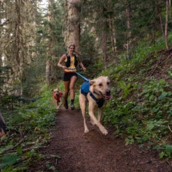 Ruffwear Roamer Leash - Blue Atoll -Tierfreunde Günstiges Geschäft ruffwear roamer leash blue atoll 204797 0500 none