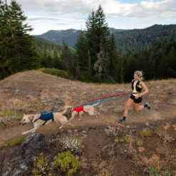 Ruffwear Roamer Leash - Blue Atoll -Tierfreunde Günstiges Geschäft ruffwear roamer leash blue atoll 204800 0500 none