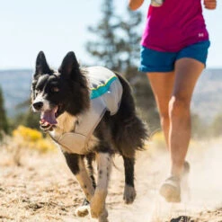 Ruffwear Swamp Cooler -Tierfreunde Günstiges Geschäft ruffwear swamp cooler 124703 0500 none