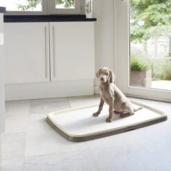 Savic Puppy Trainer + Pads -Tierfreunde Günstiges Geschäft savic puppy trainer pads 163498 0500 none