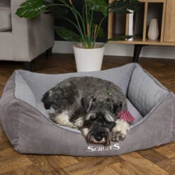 Scruffs Thermal Box Bed -Tierfreunde Günstiges Geschäft scruffs thermal box bed 190825 0500 none