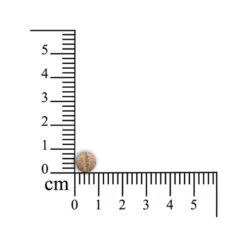 Geria Comfort - Kleine Haustiere -Tierfreunde Günstiges Geschäft sensipharm geria comfort kleine huisdieren 174883 0500 none