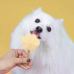 Smoofl Hundeeis Starter Kit -Tierfreunde Günstiges Geschäft smoofl dog ice starter kit 195155 0500 none